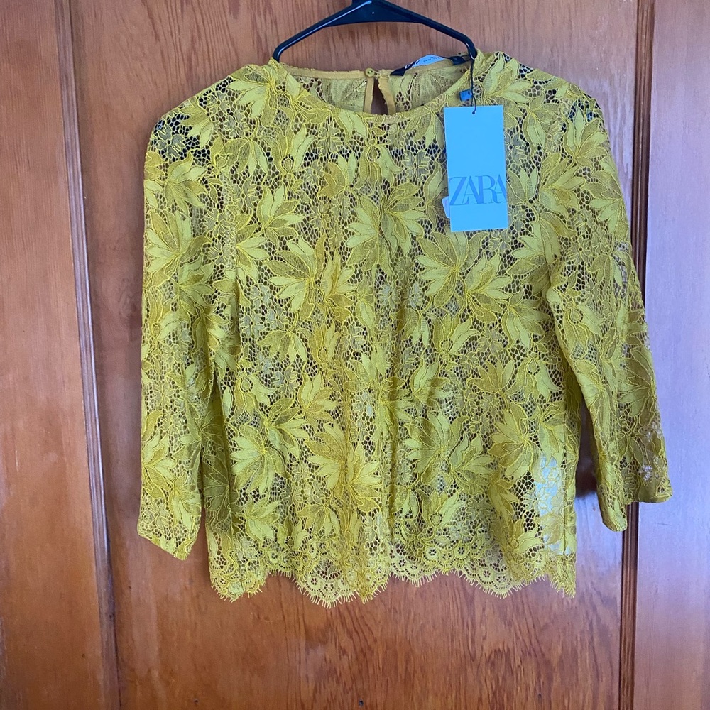 ZARA lace three quarter length sleeve top